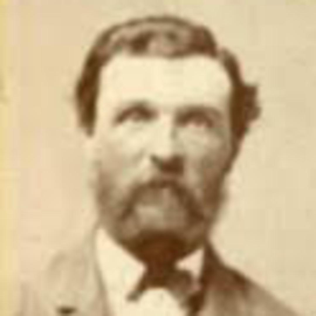 William Moyes (1841 - 1920) Profile